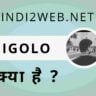 Gigolo kya hai hindi